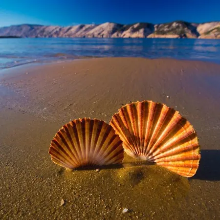 Apartament 696-8 For 2+2 Pers. In Lopar