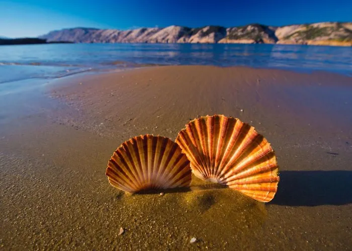 Apartament 696-8 For 2+2 Pers. In Lopar